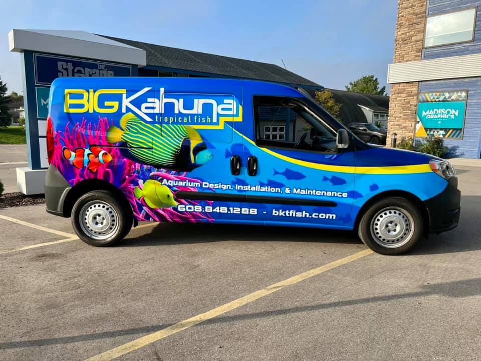A bright blue van featuring Fleet Wraps and Graphics for “Big Kahuna Tropical fish” is parked in a lot. The company’s contact info, services, and fish graphics are proudly displayed on the side.