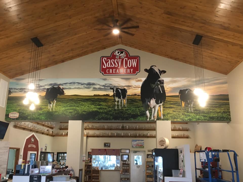 Sassy Cow Creamery Graphics banner showing the logo and 4 dairy cows in a field above the inside of the store
