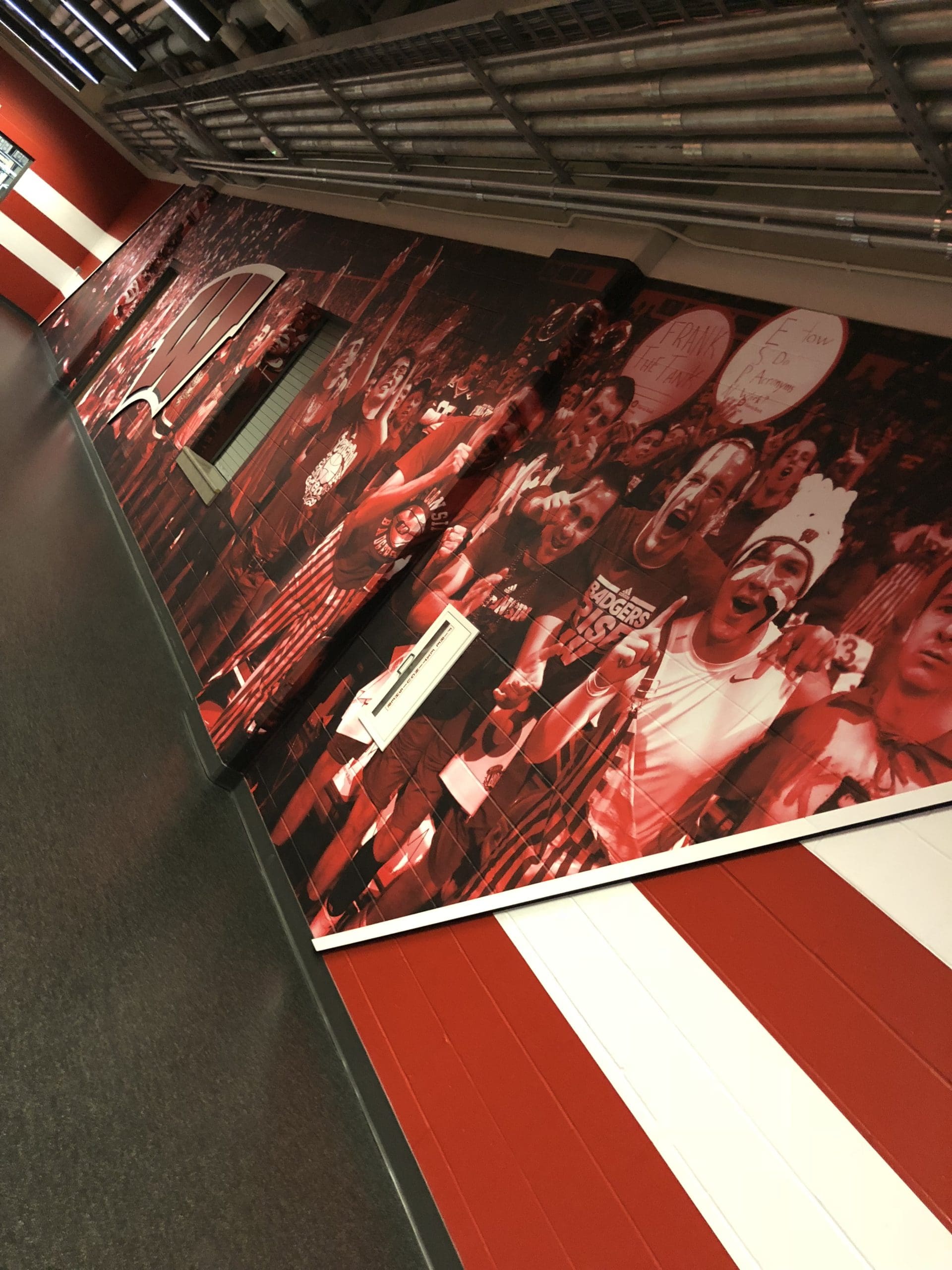 Graphics Banner on wall for Wisconsin Badgers showing student fans cheering in the crowd of a sports game with a red filter